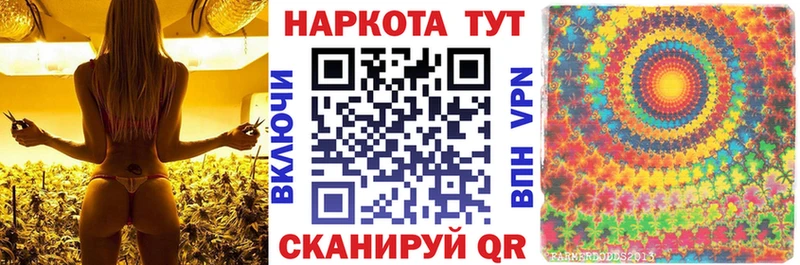 Купить наркотики цена Снежногорск ГАШ  Каннабис  Кокаин  МЕФ 