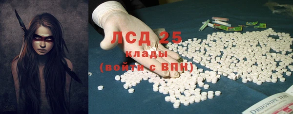 прущие грибы Алексеевка