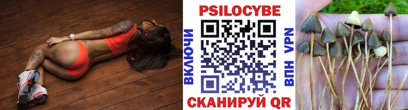 Галлюциногенные грибы мицелий купить наркотик Снежногорск